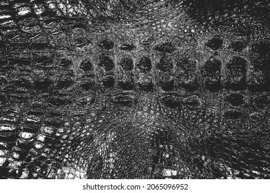 Distress Snake Skin Grunge Texture. EPS 8 Vector Illustration. Black And White Background.