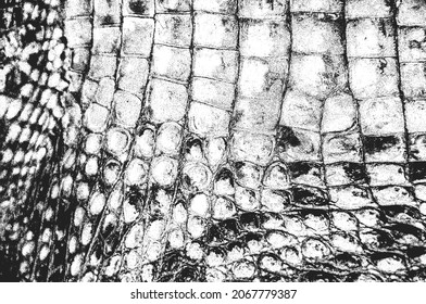 Distress Snake Skin Grunge Texture. EPS 8 Vector Illustration. Black And White Background.