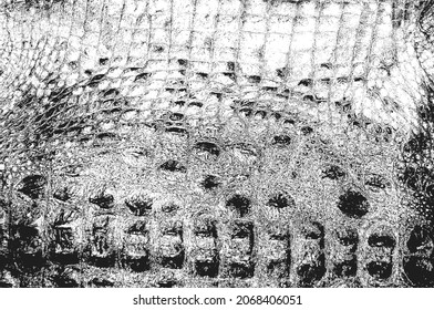 Distress Snake Skin Grunge Texture. EPS 8 Vector Illustration. Black And White Background.