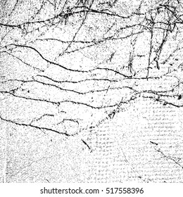 Distress Texture With plants branches on the wall. EPS10 vector. 