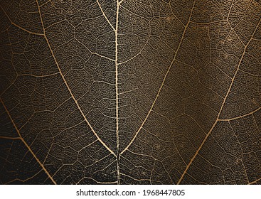 Distress tree leaves, leaflet texture on golden background. Black and white grunge background. EPS8 vector illustration.