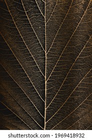 Distress tree leaves, leaflet texture on golden background. Black and white grunge background. EPS8 vector illustration.