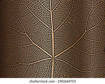 Distress tree leaves, leaflet texture on golden background. Black and white grunge background. EPS8 vector illustration.