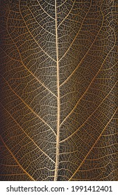 Hojas de árbol de angustia, textura de hoja sobre fondo dorado. Fondo negro y blanco. Ilustración vectorial EPS8.