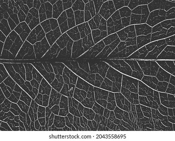 Distress tree leaves, leaflet texture. Black and white grunge background. EPS8. Vector illustration.
