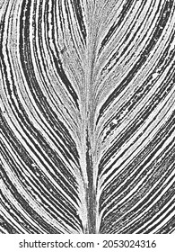 Distress tree leaves, leaflet texture. Black and white grunge background. EPS8. Vector illustration.