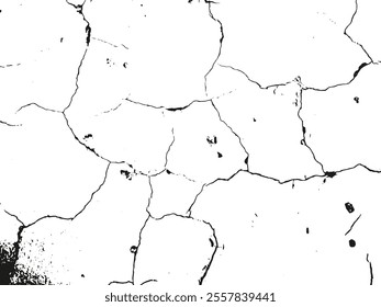 Distress vector black and white texture. Isolated grunge background. Vector abstract illustration