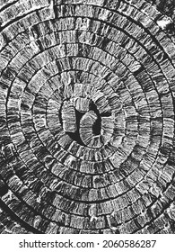 Distress, Vektorstruktur Rolle von Glasfaser-Isoliermaterial. EPS-Illustration. Schwarz-weißer Hintergrund.