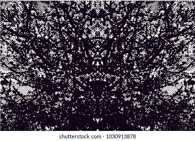 Distressed background in black and white texture with branches, dots,  dark spots, scratches and lines. Abstract vector illustration