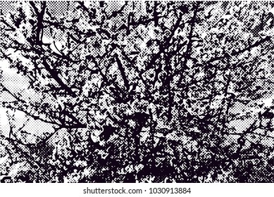 Distressed background in black and white texture with branches, dots,  dark spots, scratches and lines. Abstract vector illustration