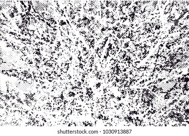 Distressed background in black and white texture with branches, dots,  dark spots, scratches and lines. Abstract vector illustration