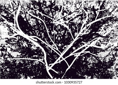 Distressed background in black and white texture with  branches, dark spots, scratches and lines. Abstract vector illustration