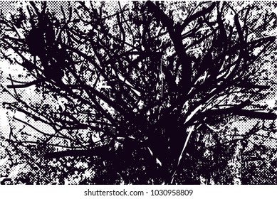 Distressed background in black and white texture with branches,  dark spots, scratches and lines. Abstract vector illustration