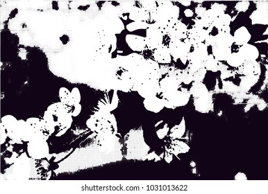 Distressed background in black and white texture with  blossom, dark spots, scratches and lines. Abstract vector illustration