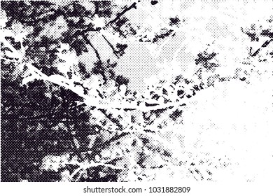 Distressed background in black and white texture with  blossom, dark spots, scratches and lines.  Vector illustration