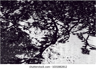 Distressed background in black and white texture with  blossom, dark spots, scratches and lines.  Vector illustration