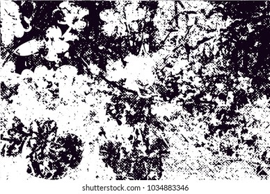 Distressed background in black and white texture with  blossom, dark spots, scratches and lines. Floral vector illustration