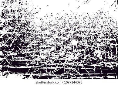 Distressed background in black and white texture from photo of cacti with  dark spots, scratches and lines. 