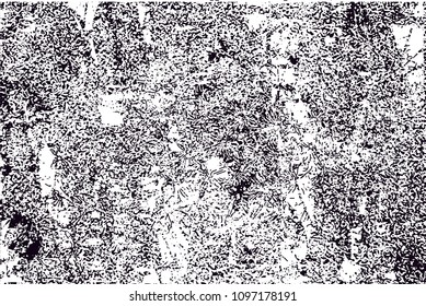 Distressed background in black and white texture from photo of cacti with  dark spots, scratches and lines. Abstract vector illustration