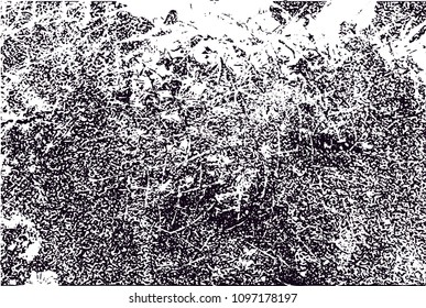 Distressed background in black and white texture from photo of cacti with  dark spots, scratches and lines. Abstract vector illustration