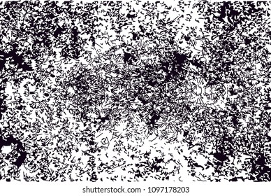 Distressed background in black and white texture from photo of cacti with  dark spots, scratches and lines. Abstract vector illustration