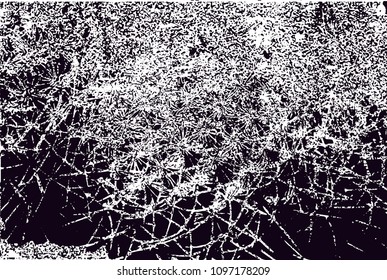 Distressed background in black and white texture from photo of cacti with  dark spots, scratches and lines. Abstract vector illustration
