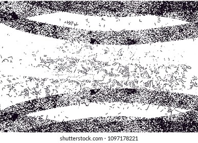 Distressed background in black and white texture from photo of cacti with  dark spots, scratches and lines. Abstract vector illustration