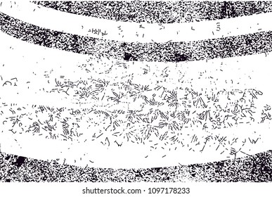 Distressed background in black and white texture from photo of cacti with  dark spots, scratches and lines. Abstract vector illustration