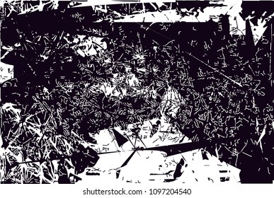 Distressed background in black and white texture from photo of cacti with  dark spots, scratches and lines. Abstract vector illustration