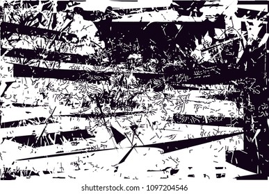 Distressed background in black and white texture from photo of cacti with  dark spots, scratches and lines. Abstract vector illustration