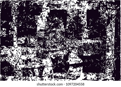 Distressed background in black and white texture from photo of cacti with  dark spots, scratches and lines. Abstract vector illustration