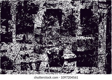 Distressed background in black and white texture from photo of cacti with  dark spots, scratches and lines. Abstract vector illustration