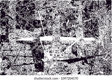 Distressed background in black and white texture from photo of cacti with  dark spots, scratches and lines. Abstract vector illustration