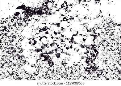 Distressed background in black and white texture with  leaves,flowers,  dark spots, scratches and lines. Abstract vector illustration
