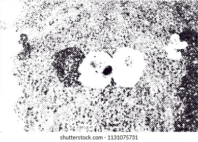 Distressed background in black and white texture with  dark spots, scratches and lines. Abstract vector illustration