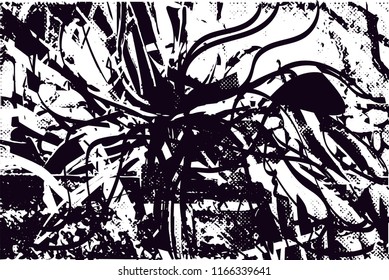 Distressed background in black and white texture from agave cacti with  dark spots, scratches and lines. Abstract vector illustration