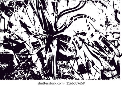 Distressed background in black and white texture from agave cacti with  dark spots, scratches and lines. Abstract vector illustration