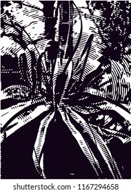 Distressed background in black and white texture from agave cacti with  dark spots, scratches and lines. Abstract vector illustration