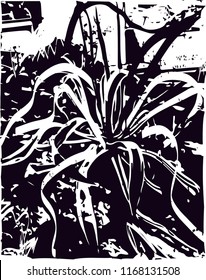 Distressed background in black and white texture from agave cacti with  dark spots, scratches and lines. Abstract vector illustration