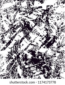 Distressed background in black and white texture from agave cacti with  dark spots, scratches and lines. Abstract vector illustration