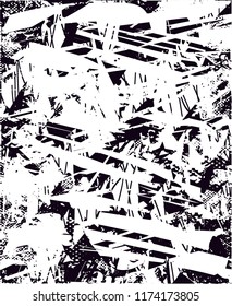 Distressed background in black and white texture from agave cacti with  dark spots, scratches and lines. Abstract vector illustration