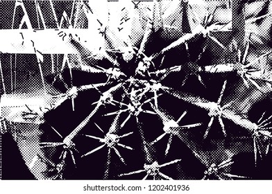 Distressed background in black and white texture with cacti, dots, spots, scratches and lines. Abstract vector illustration