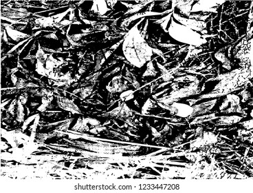 Distressed background in black and white texture from leaves, with dots, spots, scratches and lines. Abstract vector illustration