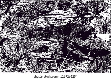 Distressed background in black and white texture with  dark spots, nets,scratches and lines. Abstract vector illustration