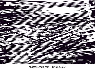 Distressed background in black and white texture from leaves, with dots, spots, scratches and lines. Abstract vector illustration