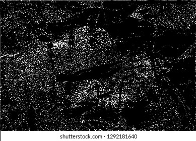 Distressed background in black and white texture with  dark spots, nets,scratches and lines. Abstract vector illustration