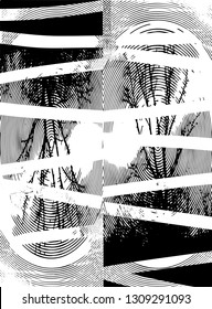 Distressed background in black and white texture from bare tree with circles, spots, scratches and lines. Abstract vector illustration