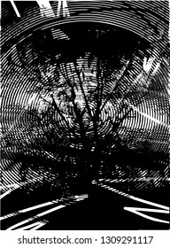Distressed background in black and white texture from bare tree with circles, spots, scratches and lines. Abstract vector illustration