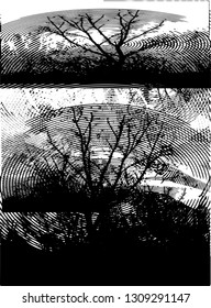 Distressed background in black and white texture from bare tree with circles, spots, scratches and lines. Abstract vector illustration
