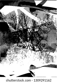Distressed background in black and white texture from bare tree with circles, spots, scratches and lines. Abstract vector illustration
